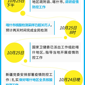 新疆最新疫情工作安排及其影響，新疆最新疫情工作安排及其影響分析