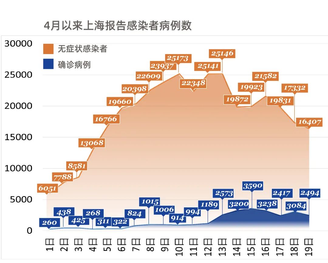 最新上海疫情概況（11月版），上海疫情最新概況概覽（11月版）