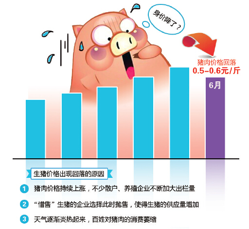 最新生豬價格上漲原因深度解析，最新生豬價格上漲原因深度剖析