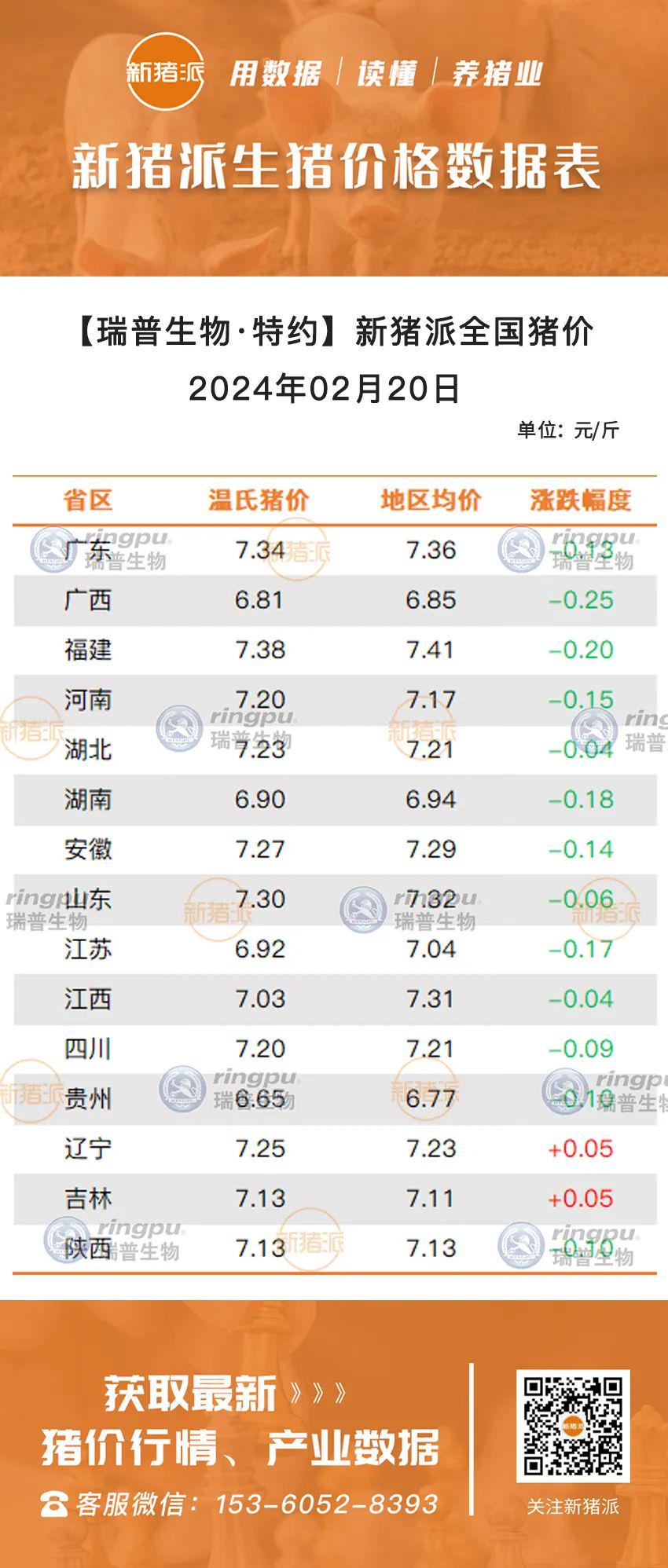 貴州最新生豬價格，市場走勢與影響因素分析，貴州生豬價格走勢揭秘，最新報價及市場影響因素分析