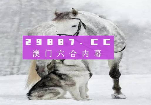 7777788888新版跑狗,實效策略解析_XT66.379