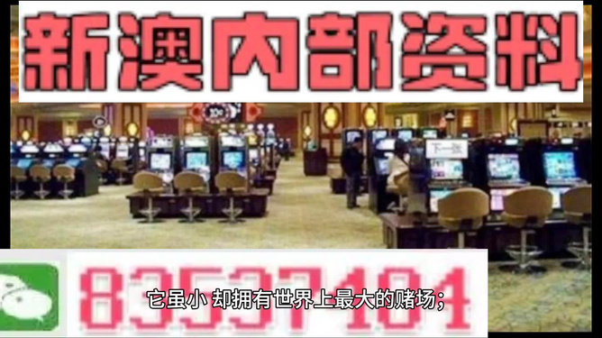 2024新澳免費資料大全精準版,完善的執行機制解析_tShop50.566