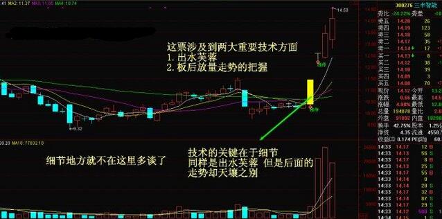 管家婆精準(zhǔn)資料大全免費(fèi)4295,高效策略設(shè)計(jì)_LT31.342