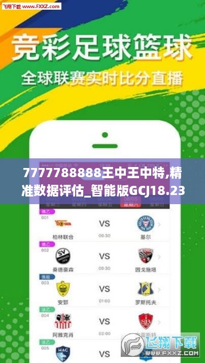 王中王72385.cσm.7229查詢,實地驗證分析_U57.404