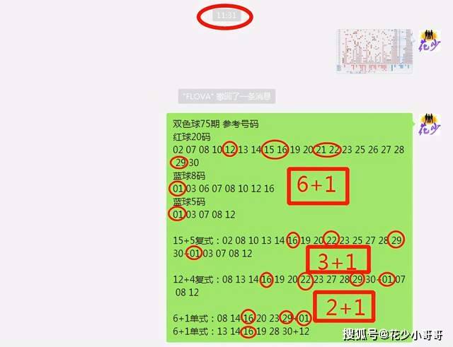 白小姐今晚特馬期期準六,系統解析說明_PalmOS30.565