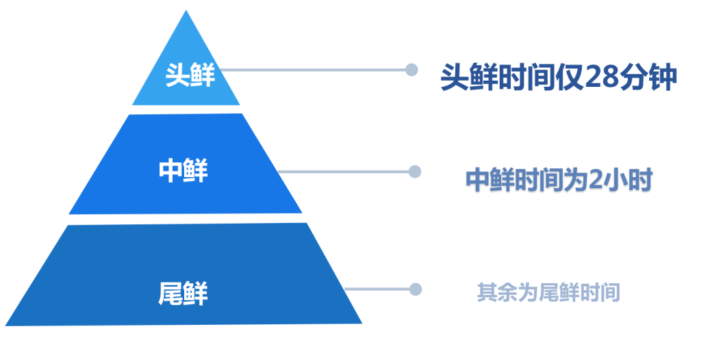 香港新澳門 最、正版-肖,精確數據解釋定義_經典款12.405