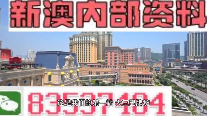 2024新澳精準正版資料,持久性策略設計_W47.100