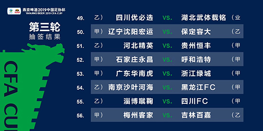 2024新澳精準資料免費提供下載,實地考察數據策略_娛樂版25.387