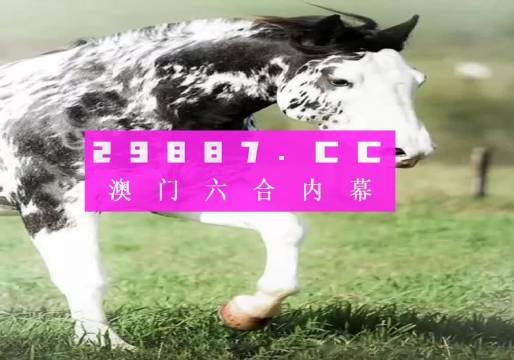 大三巴最準(zhǔn)的一肖一碼,精細(xì)評估說明_入門版2.462