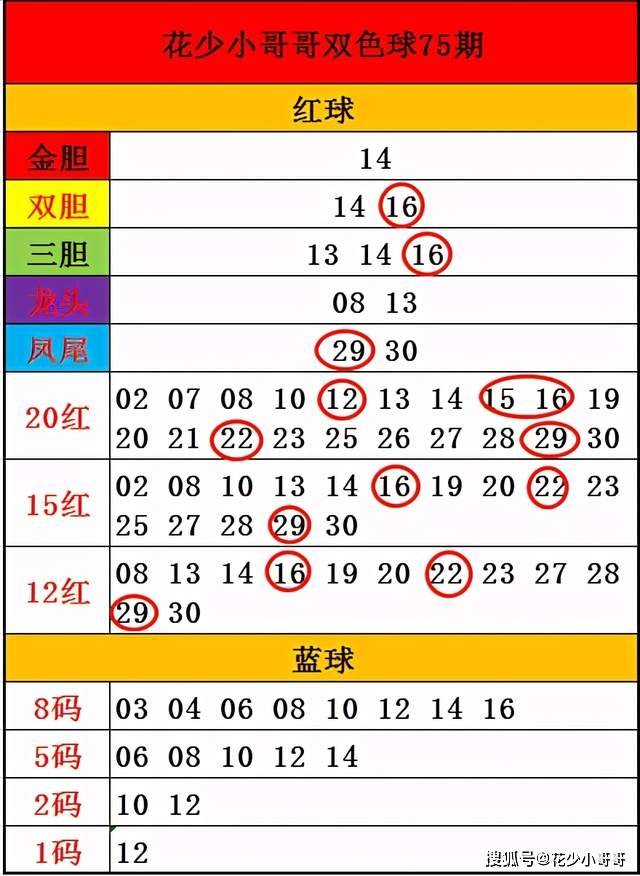 白小姐今晚特馬期期準六,科學分析解析說明_BT86.281