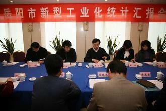 岳陽市市統計局最新招聘信息全面解析，岳陽市統計局最新招聘信息詳解