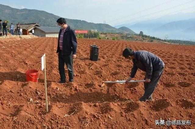 昌州街道最新交通新聞，昌州街道交通新聞更新