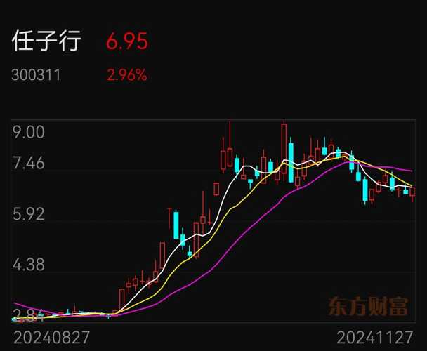 任子行股票最新消息全面解析，任子行股票最新動態全面解讀